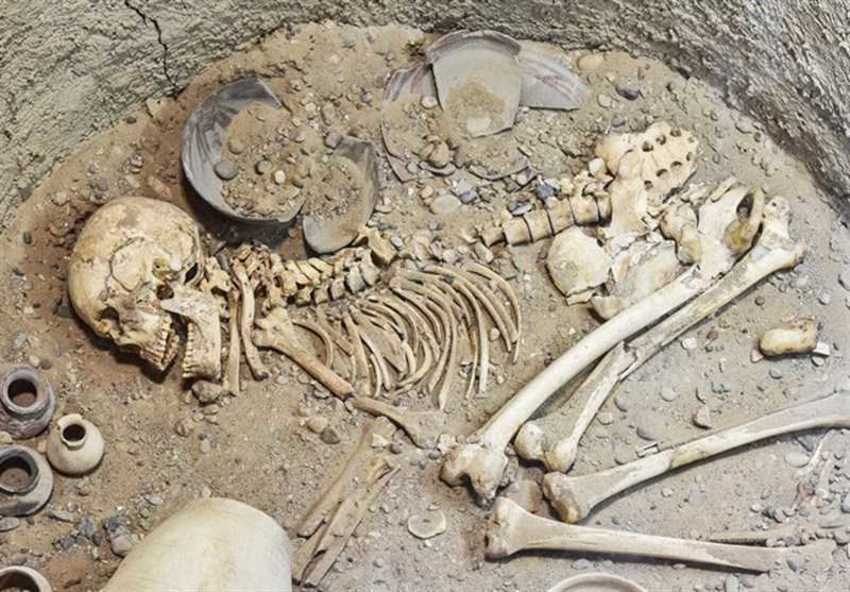 خلاصه داستان شهر سوخته