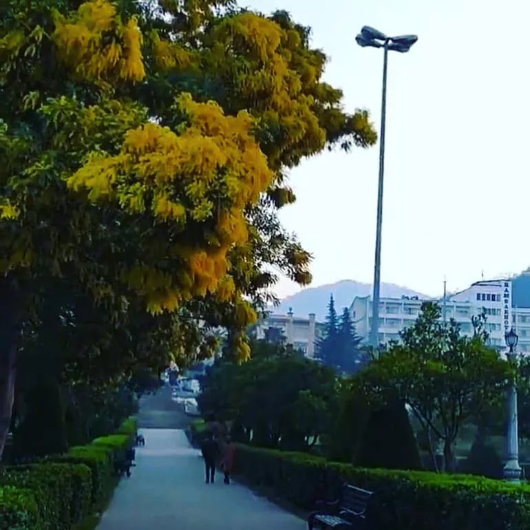 بهترین فصل سفر به رامسر