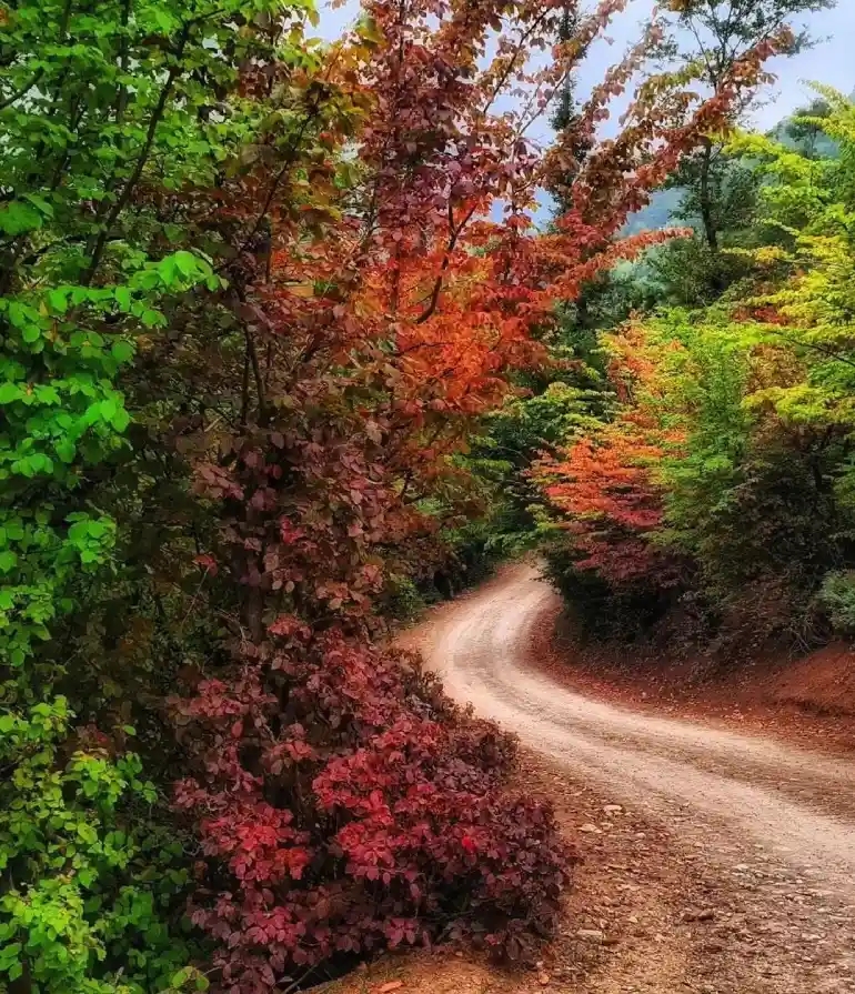 جاهای دیدنی رودبار