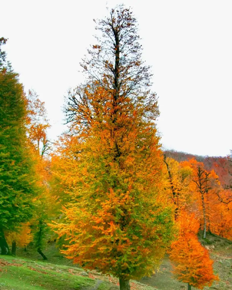 جاهای دیدنی خلخال