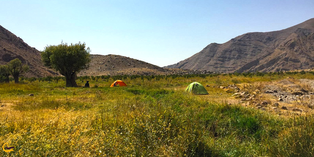 دشت هویج