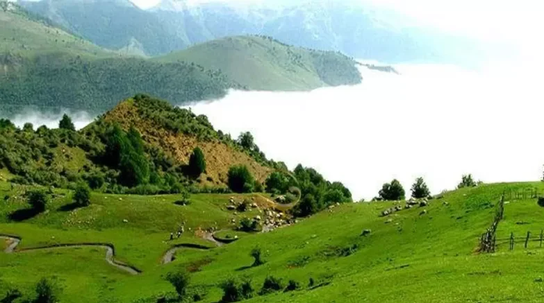 ییلاق هلودشت