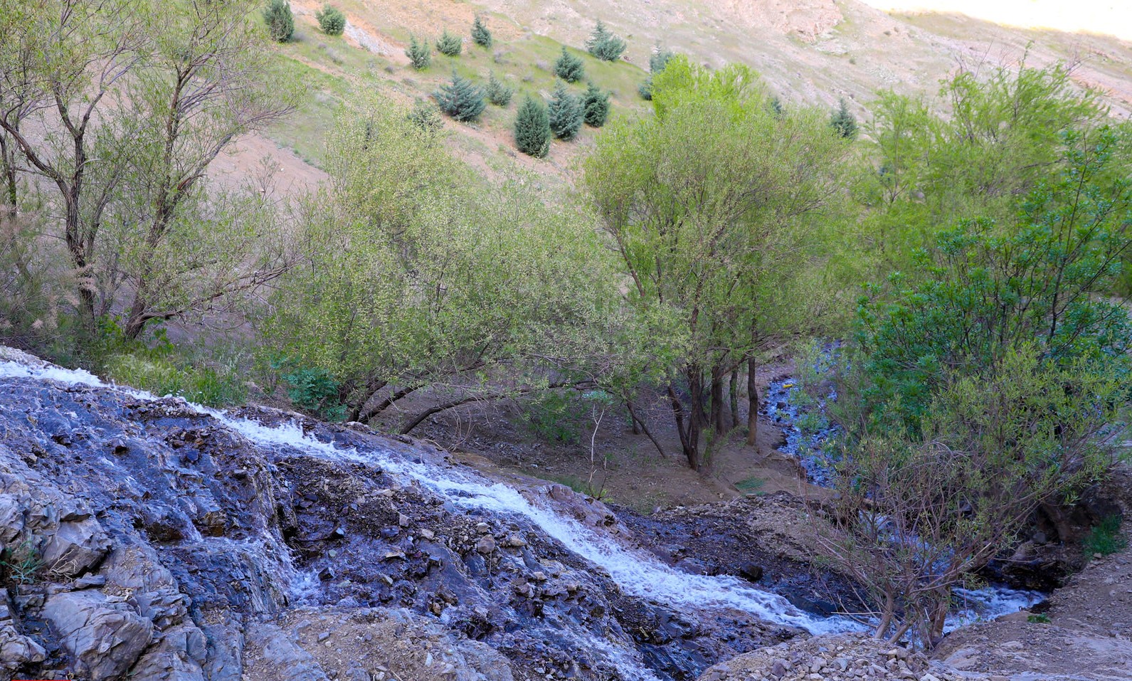 پارک کوهسار