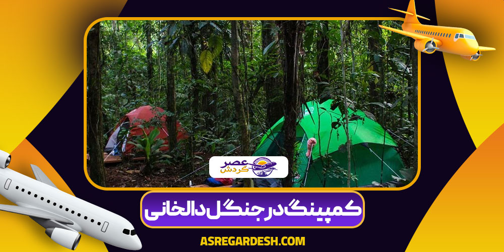 کمپینگ در جنگل دالخانی