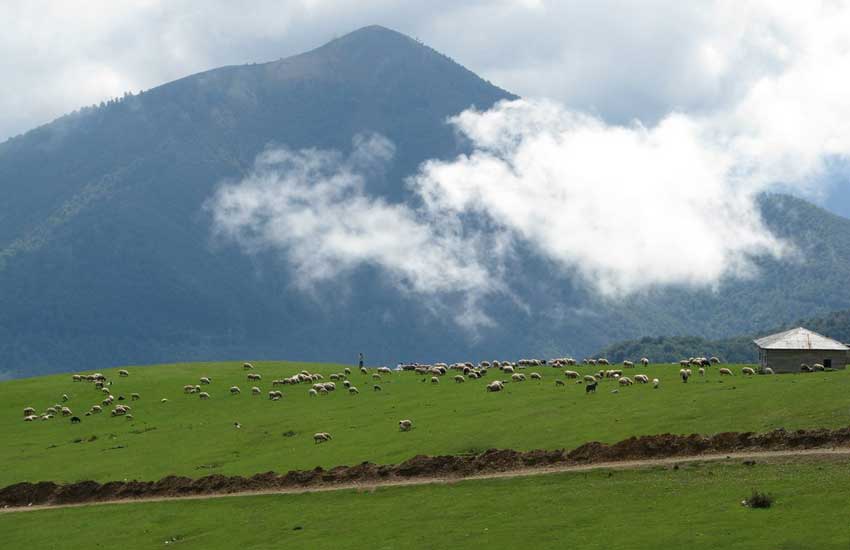 کوه‌ های تالش