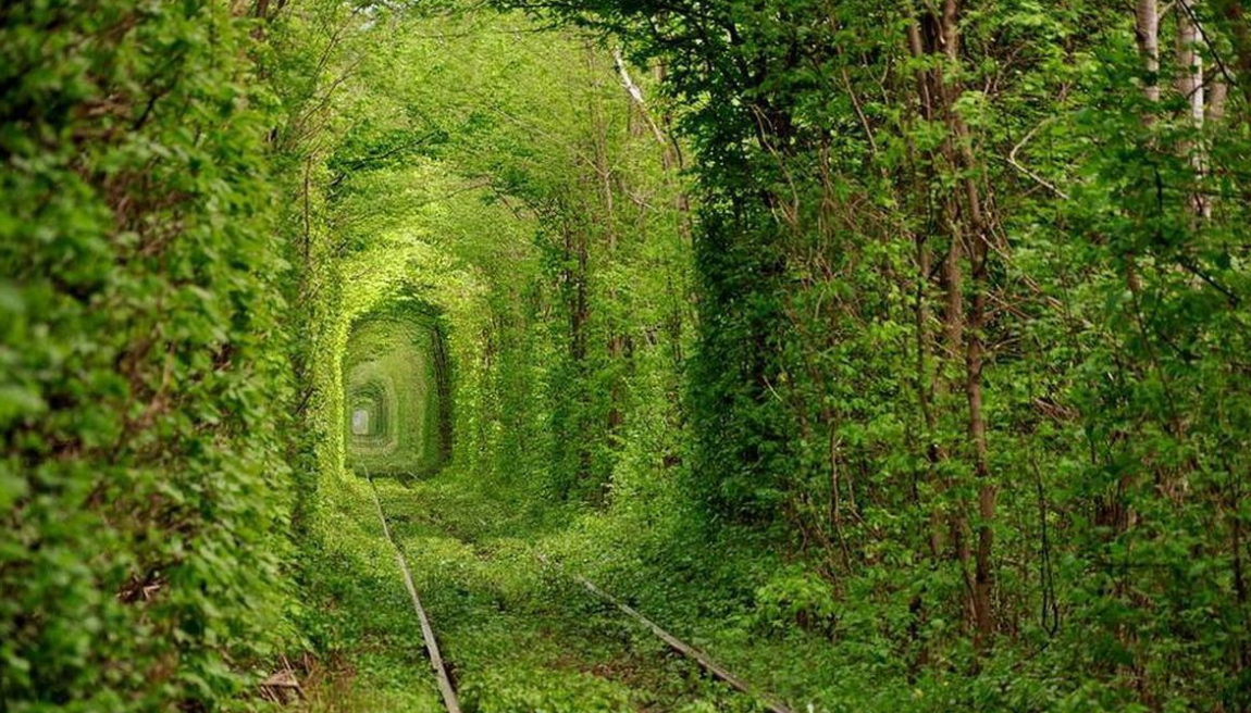 تونل عشق