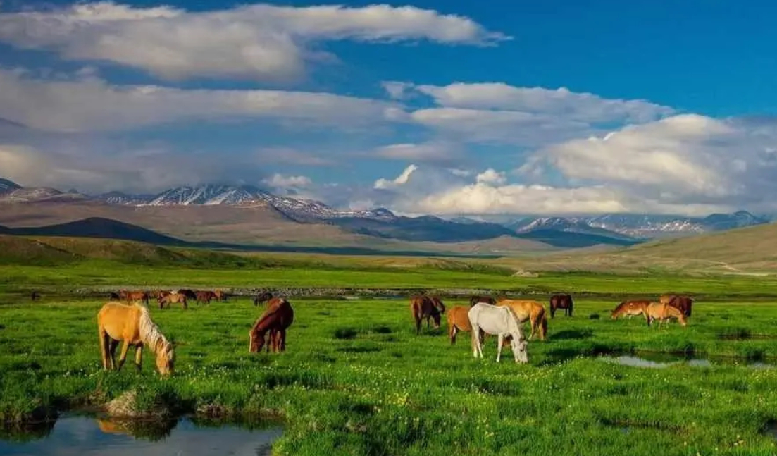 دره نیلوم