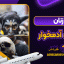 زنان قبایل آدمخوار