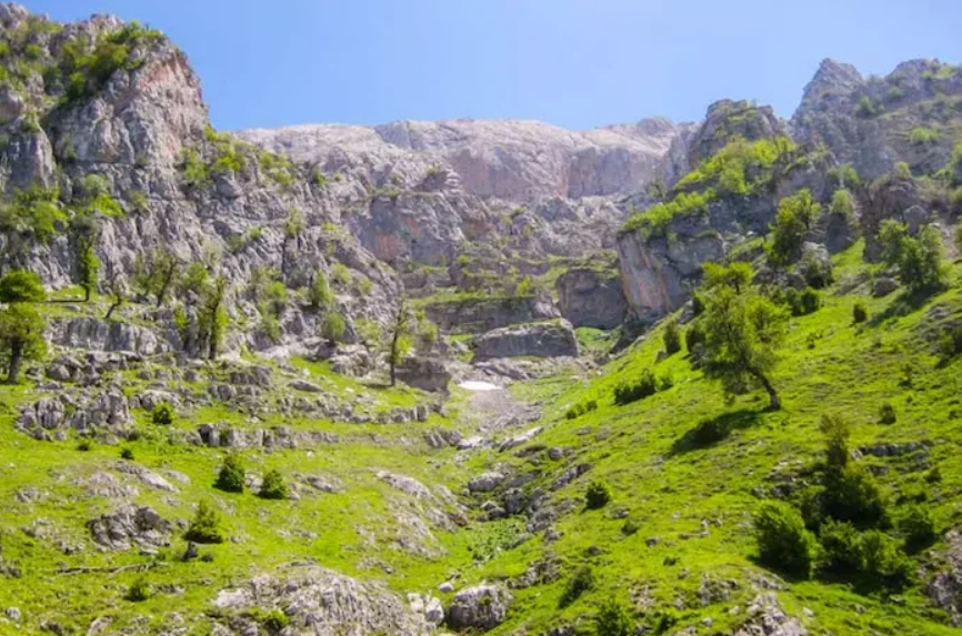 درباره پل سفید مازندران درباره پل سفید مازندران